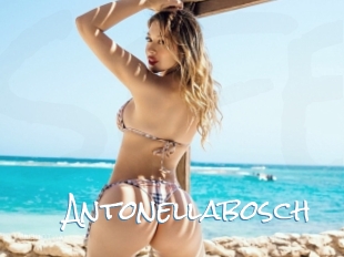 Antonellabosch
