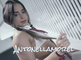 Antonellamorel