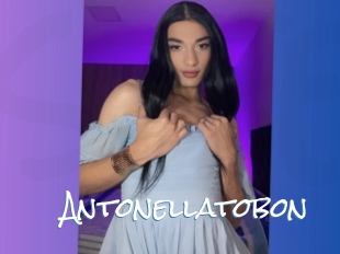 Antonellatobon