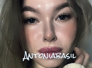 Antoniabasil