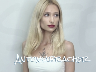 Antoniabracher