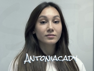 Antoniacady