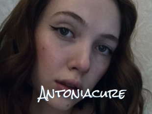 Antoniacure