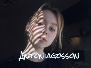 Antoniagosson
