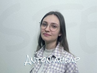 Antoniaheap