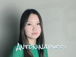 Antoninapucci