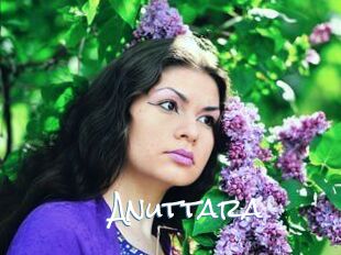 Anuttara