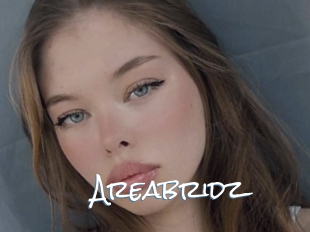 Areabridz