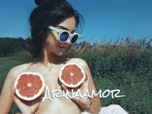 Arinaamor