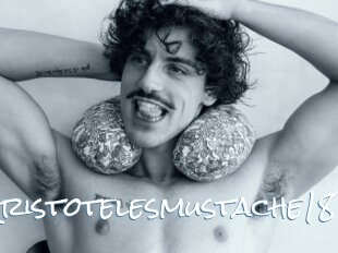Aristotelesmustache18