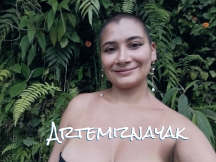Artemiznayak