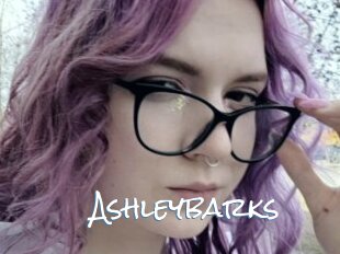 Ashleybarks