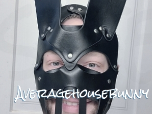 Averagehousebunny