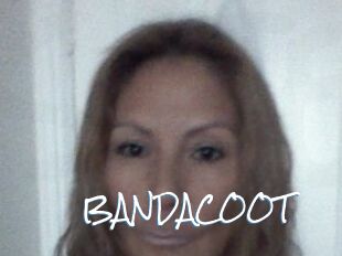 BANDACOOT