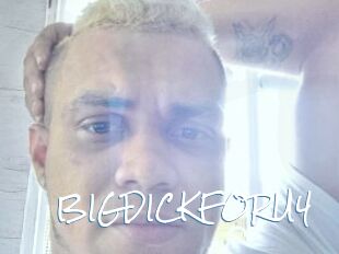 BIGDICKFORU4