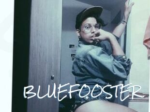 BLUEFOOSTER