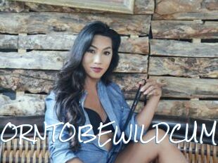BORNTOBEWILDCUM
