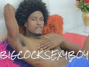 BOST_BIGCOCK_SEXYBOY