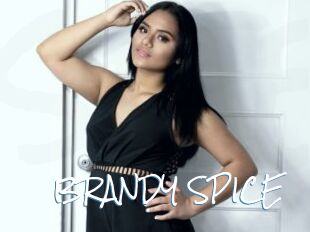BRANDY_SPICE