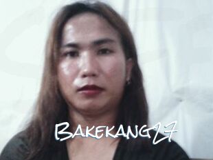 Bakekang27
