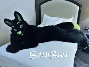 BaniBun