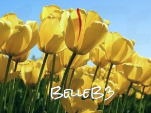 BelleB3