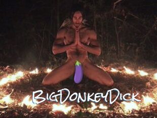 BigDonkeyDick