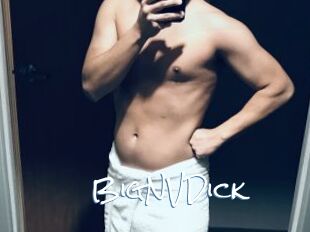 BigNVDick