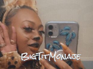BigTitMonaje