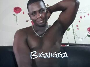 Bignigga