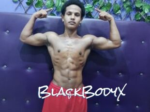 BlackBodyX