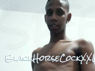 BlackHorseCockXXL