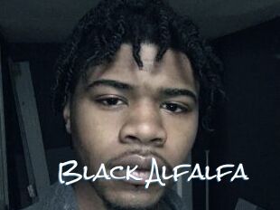 Black_Alfalfa