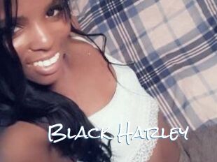 Black_Harley
