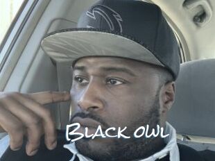 Black_owl