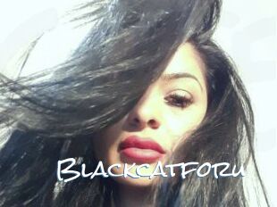 Blackcatforu