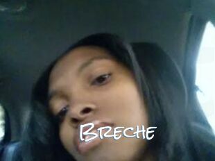 Breche