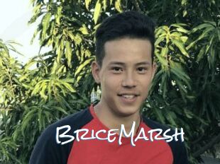 BriceMarsh