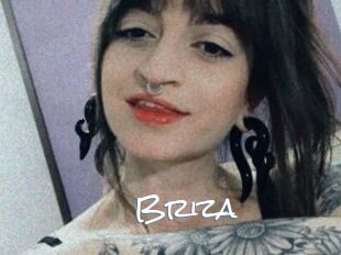 Briza