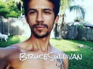 Bruce_Sullivan