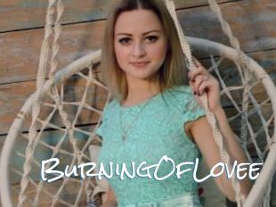 BurningOfLovee
