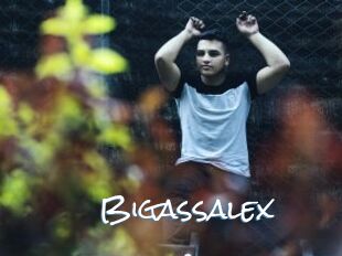 Bigassalex