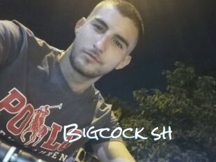 Bigcock_sh