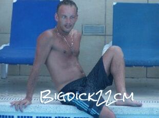 Bigdick22cm