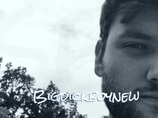 Bigdickboynew