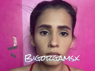 Bigorgamsx