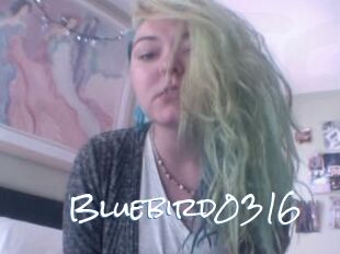 Bluebird0316