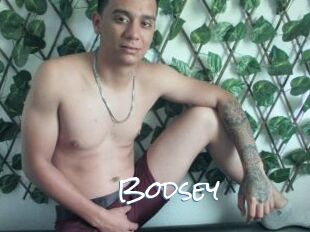 Bodsey