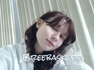 Breebaskett
