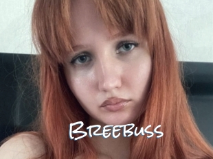 Breebuss